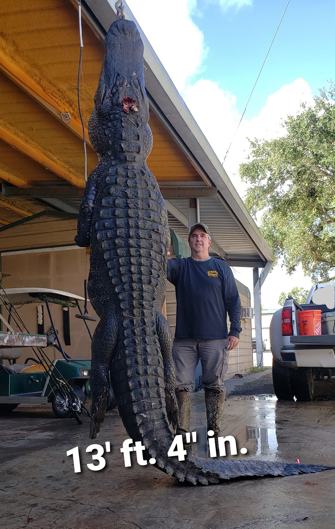 Hunter with a huge alligator taken in Florida