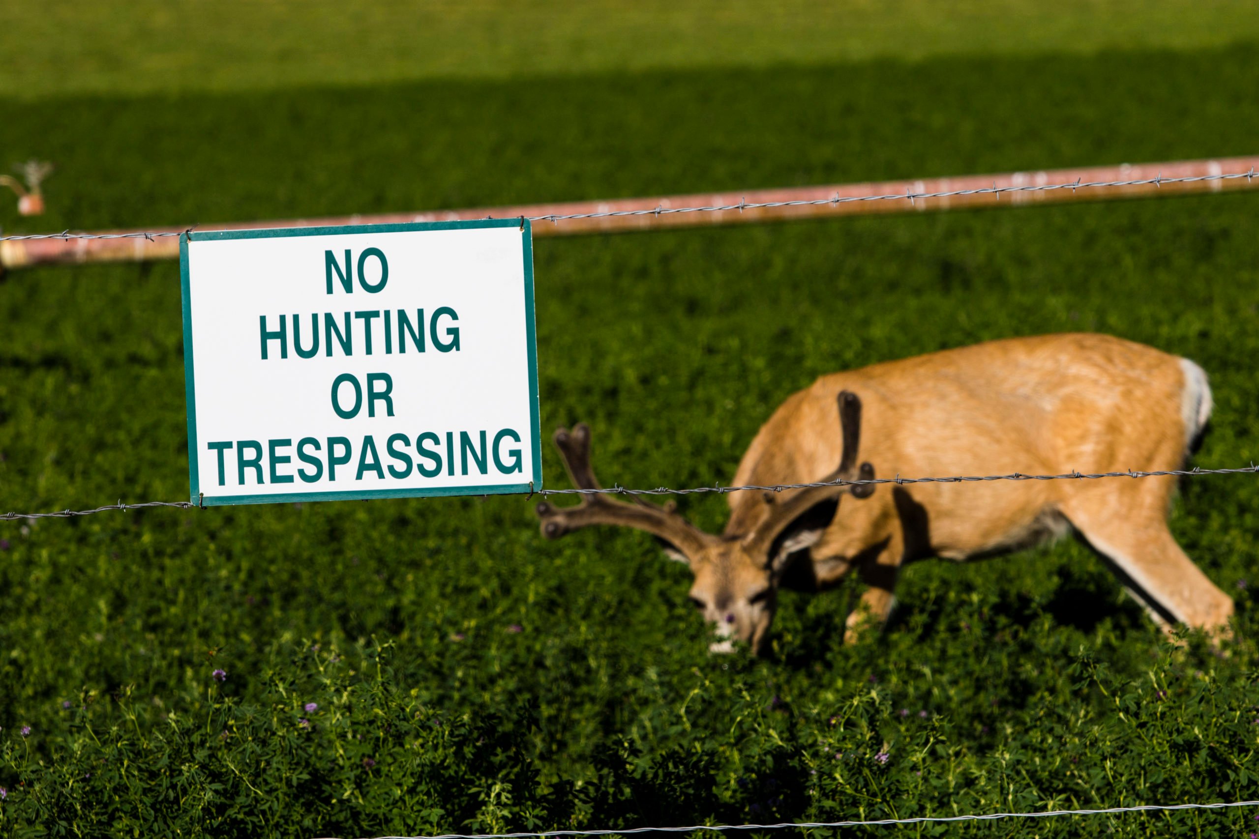 Trespassing Laws
