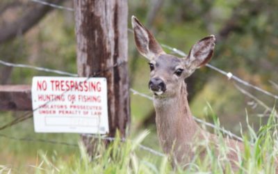 Key Things To Consider When Posting Your Hunting Land Against Trespassers