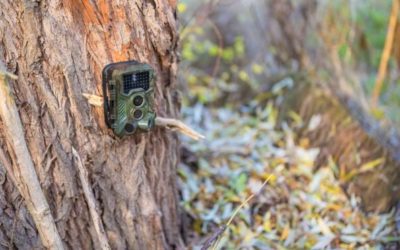 Making the Case Against Trail Camera BansÂ