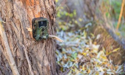 Making the Case Against Trail Camera Bans 