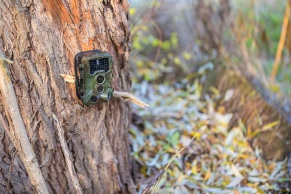 Case Against Trail Camera Bans