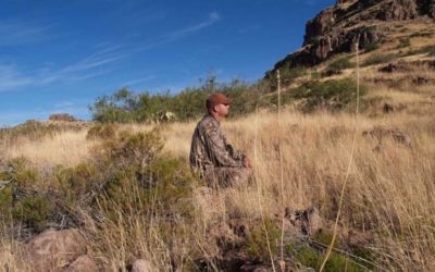 Milestones and Benchmarks for Seasoned Whitetail Hunters