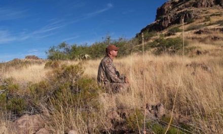 Milestones and Benchmarks for Seasoned Whitetail Hunters