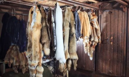 More Women Should Get Into Fur Trapping