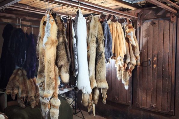 More Women Should Get Into Fur Trapping