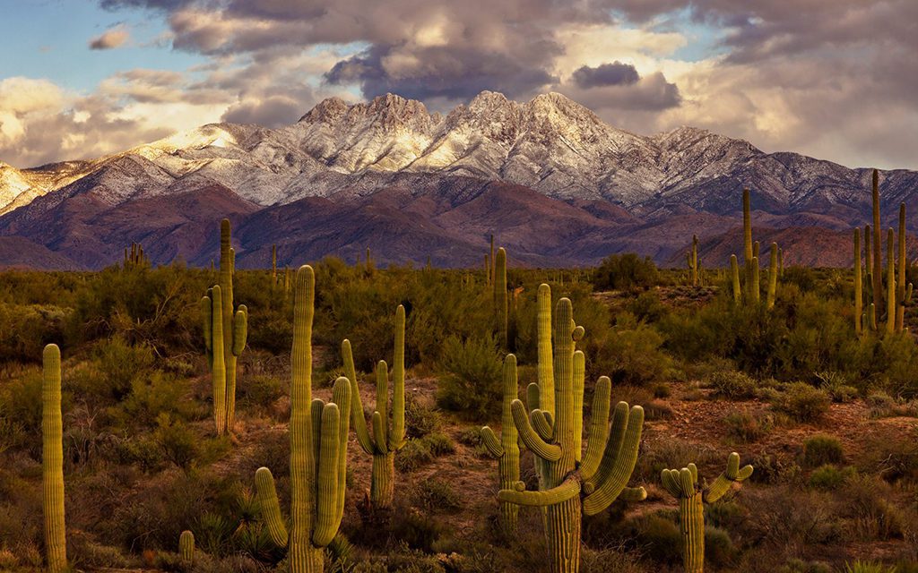 Photo Of The Day By Rick Furmanek