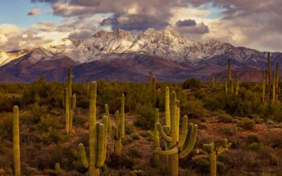 Photo Of The Day By Rick Furmanek