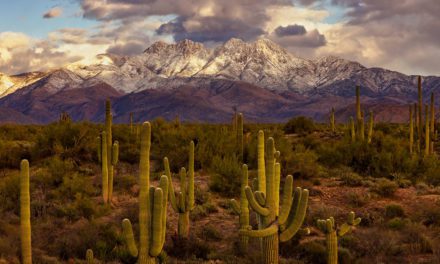 Photo Of The Day By Rick Furmanek