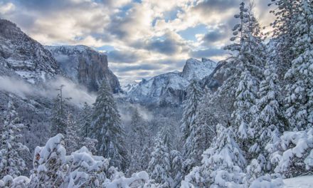 Photos Of The Day For January 2022