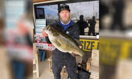 Potential World Record 11.07-Pound Meanmouth Hybrid Caught in Texas