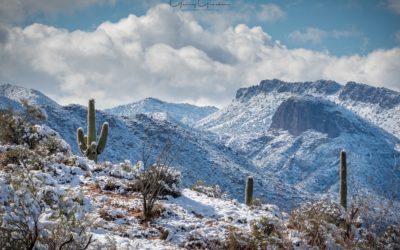 Snow And Ice Scenes Assignment Winner Gerry Groeber