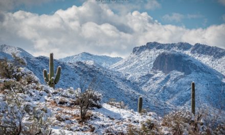 Snow And Ice Scenes Assignment Winner Gerry Groeber