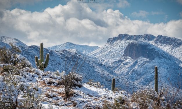Snow And Ice Scenes Assignment Winner Gerry Groeber