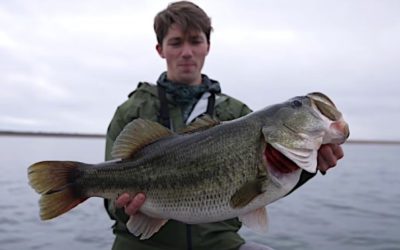Spur-of-the-Moment Fishing Trip Leads to Angler Catching 14-Pound Largemouth Bass
