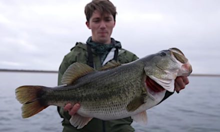 Spur-of-the-Moment Fishing Trip Leads to Angler Catching 14-Pound Largemouth Bass