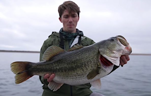 Spur-of-the-Moment Fishing Trip Leads to Angler Catching 14-Pound Largemouth Bass