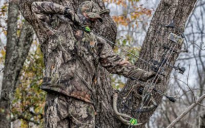Treestand vs. Groundblind: When and Where You Should Use Either One