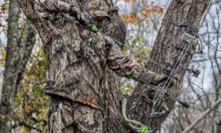 Treestand vs. Groundblind: When and Where You Should Use Either One