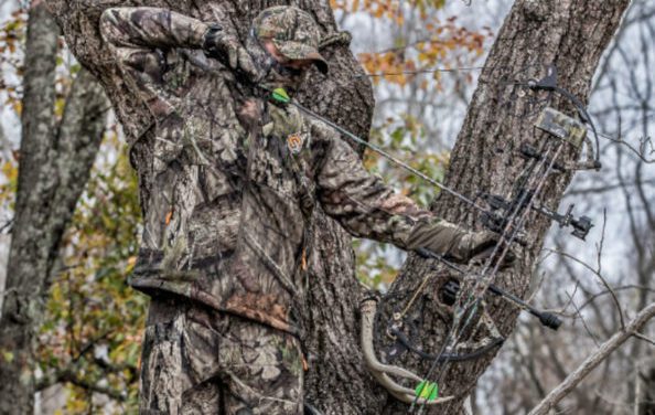Treestand vs. Groundblind: When and Where You Should Use Either One