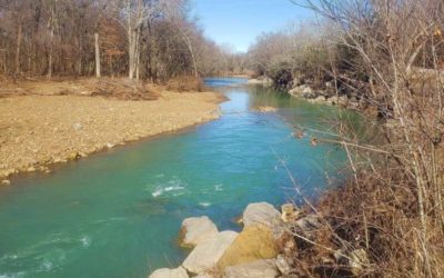 Trout Fishing in Arkansas: License Requirements, Places to Go, and Tactics to Use