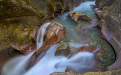 Up Close and Personal, Part 2: The Intimate Landscape