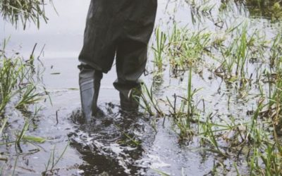 10 Best Men’s Fishing Shoes for Anglers, Kayakers, and Boaters