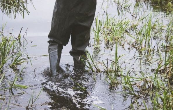 10 Best Men’s Fishing Shoes for Anglers, Kayakers, and Boaters