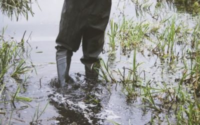 10 Best Men’s Fishing Shoes of 2022 for Fishing, Kayaking, & More