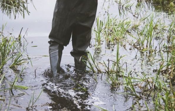 10 Best Men’s Fishing Shoes of 2022 for Fishing, Kayaking, & More