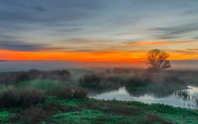 8 National Wildlife Refuges You Need to Hunt