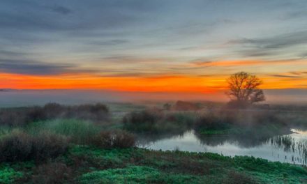 8 National Wildlife Refuges You Need to Hunt