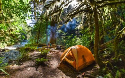 Camping in Washington State: The Best Campgrounds to Consider