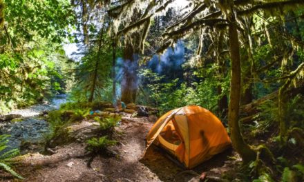 Camping in Washington State: The Best Campgrounds to Consider