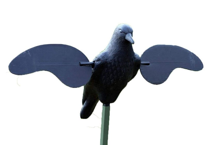 A motion crow decoy.