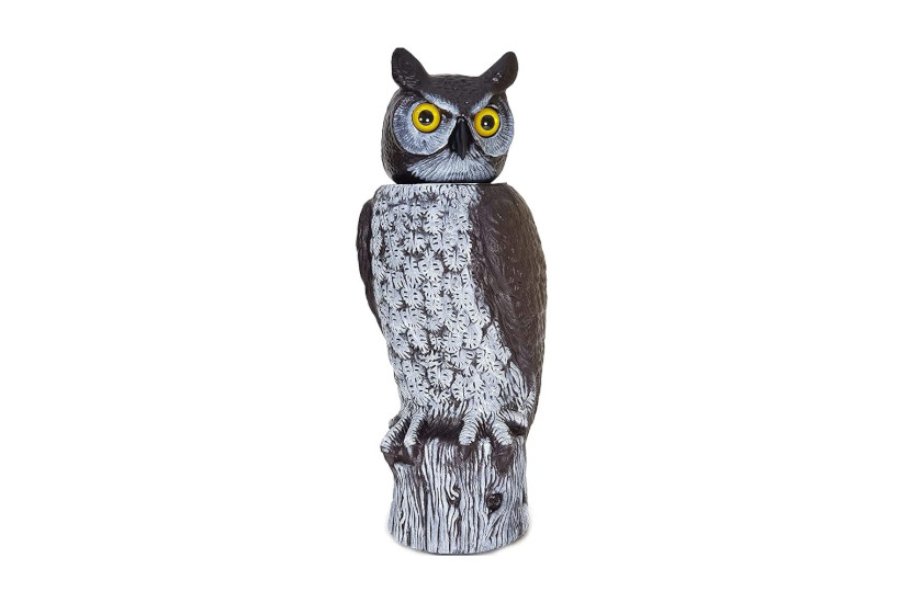 A full-size owl decoy.