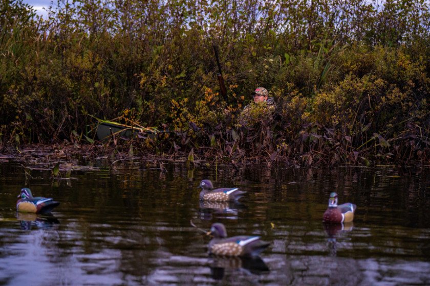 Two duck hunters utilizing kayaks