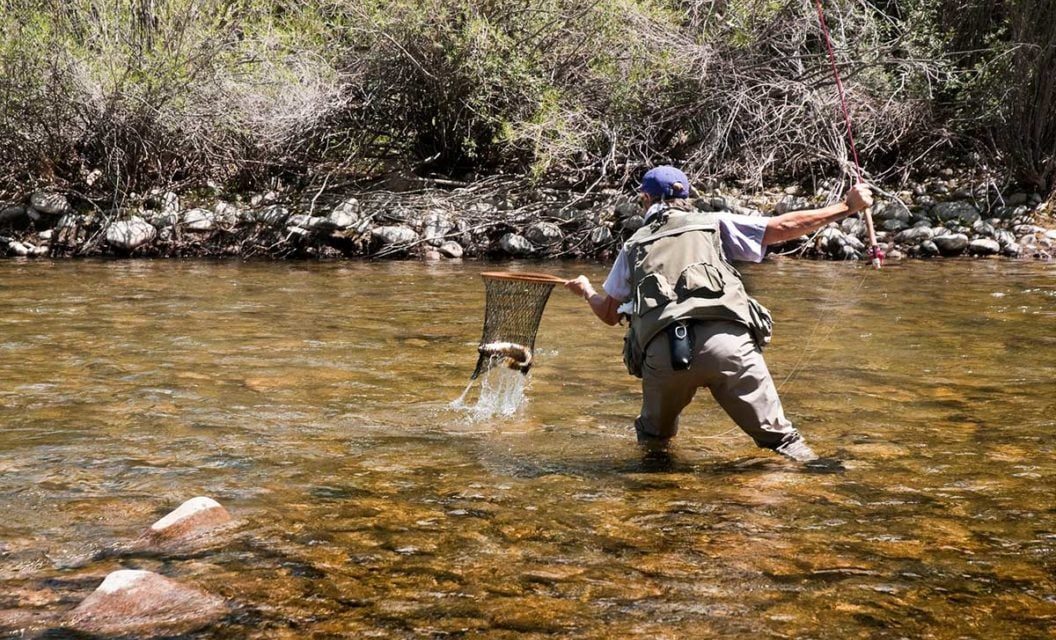 Fly Fishing Nets: Why You Definitely Need One, and a Few Suggestions