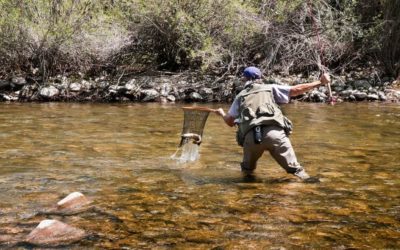 Fly Fishing Nets: Why You Definitely Need One, and a Few Suggestions