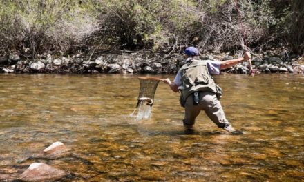 Fly Fishing Nets: Why You Definitely Need One, and a Few Suggestions
