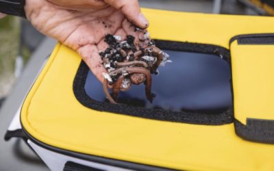 Frabill Universal Bait Station Stores Live Minnows or Worms for Fishing