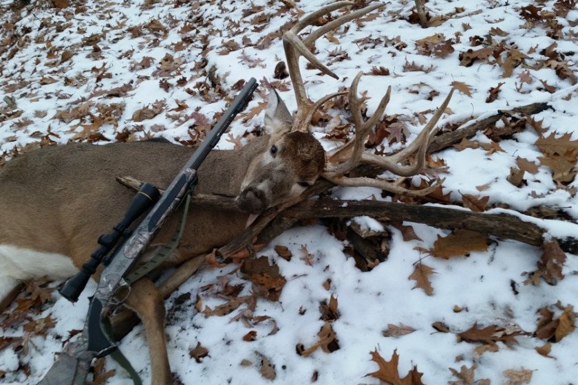 A whitetail buck downed during the Illinois firearms season.