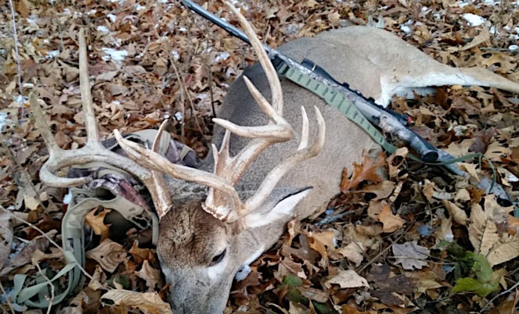 Hunter Shares Story of “The Freak,” a Giant Three-Antlered Deer From Illinois