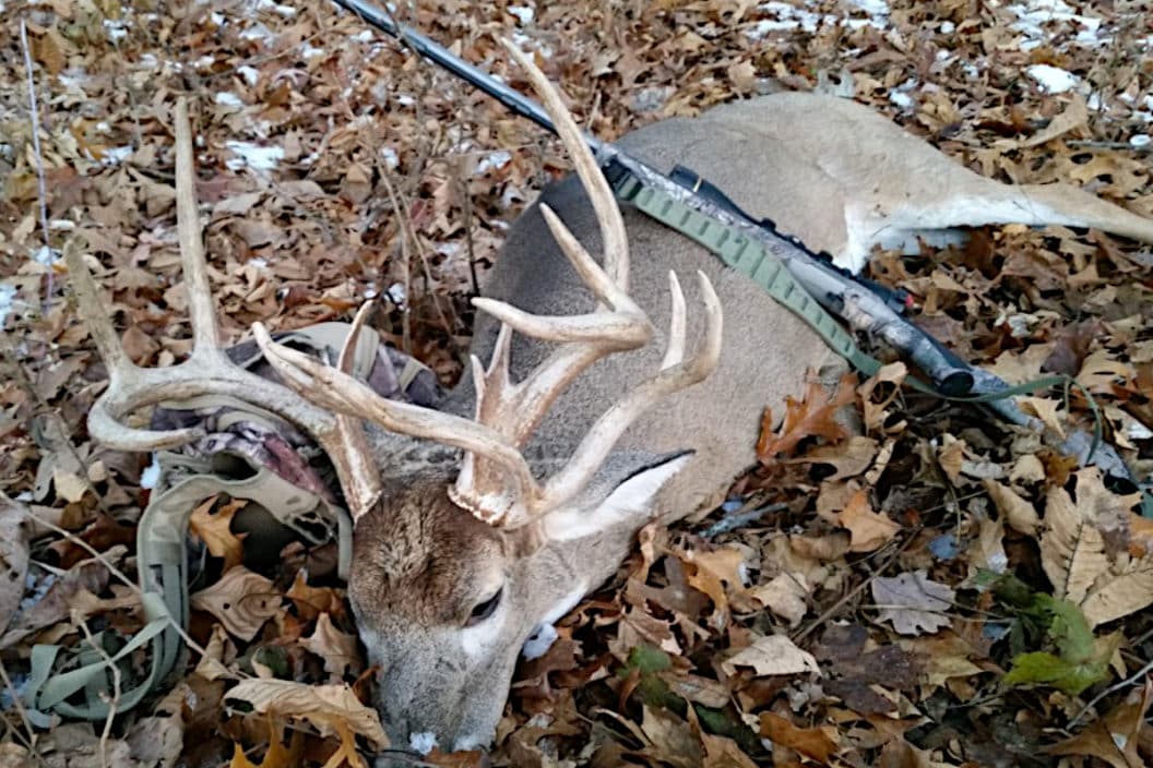An Illinois buck downed during the firearms season.