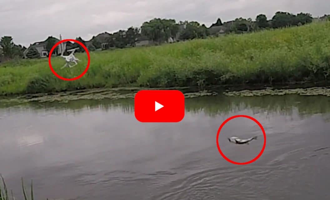 Largemouth Bass Causes Expensive Drone Fishing Mistake