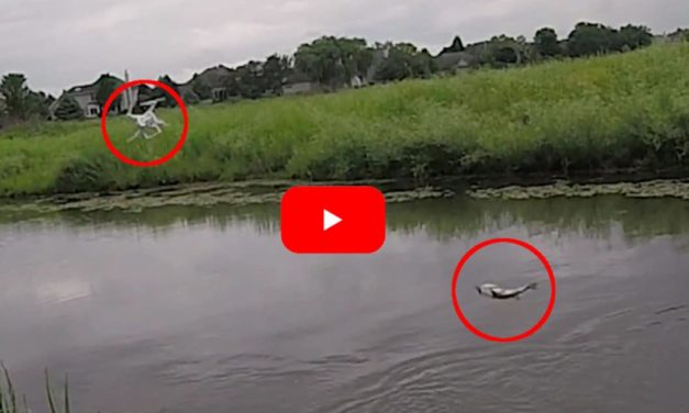 Largemouth Bass Causes Expensive Drone Fishing Mistake
