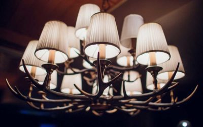 Make Money From Shed Hunting Finds With These Tips