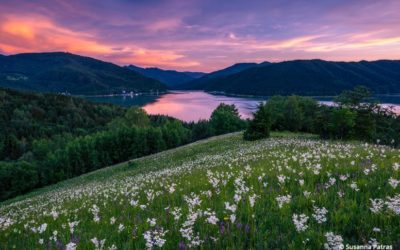 Photo Of The Day By Susanna Patras