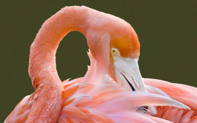 Shooting Patterns, Shapes And Lines