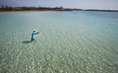 Why You Need a Fly Rod and Reel Devoted to Saltwater